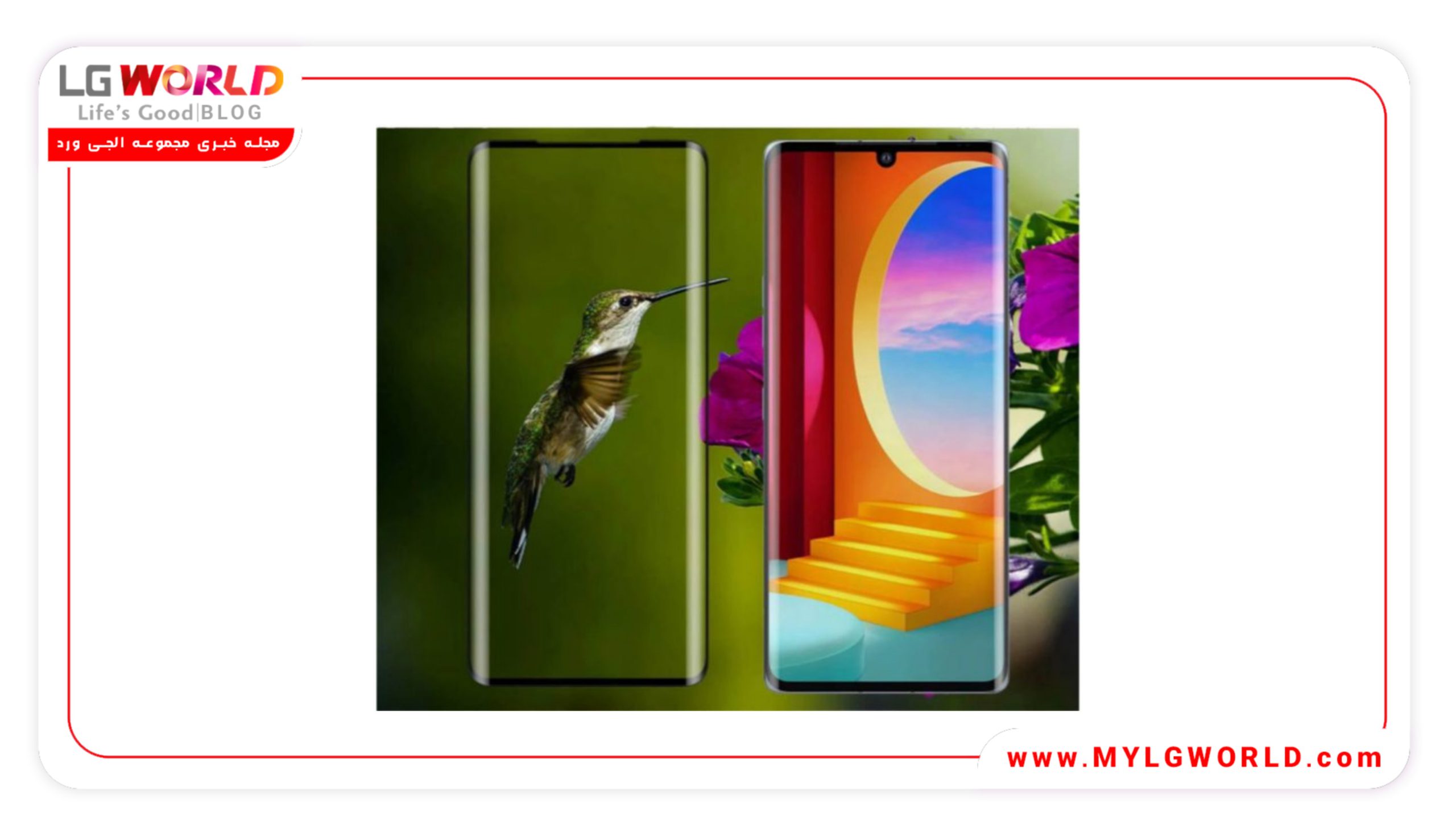 پرفروش ترین گلس فروشگاه مای الجی ورلد کدام است؟