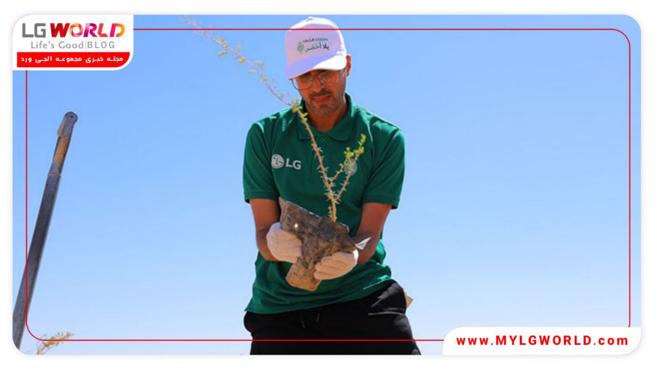 کمپین درختکاری Yalla Green