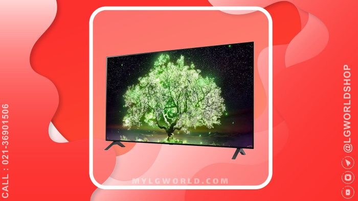 قیمت و خرید تلویزیون هوشمند OLED ال جی 48 اینچ 4K HDR سری A1 مدل OLED48A1PUA با ThinQ AI از نمایندگی رسمی ال جی