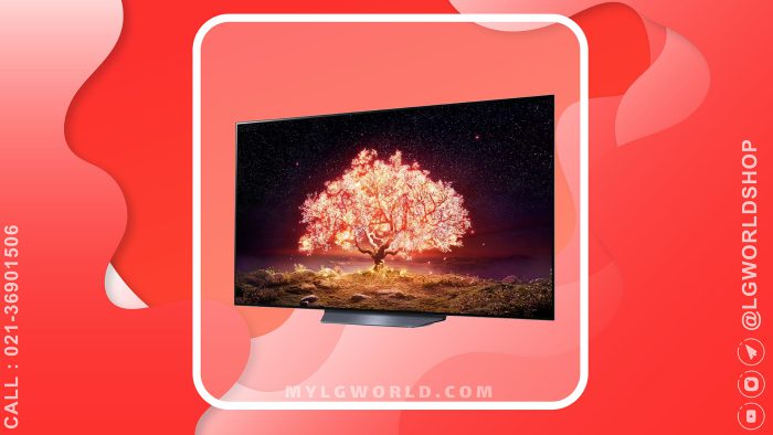 قیمت و خرید تلویزیون هوشمند OLED ال جی 65 اینچ 4K HDR سری B1 مدل OLED65B1PVA با ThinQ AI از نمایندگی رسمی ال جی