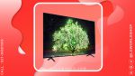 قیمت و خرید تلویزیون هوشمند OLED ال جی 65 اینچ 4K HDR سری A1 مدل OLED65A1PUA با ThinQ AI از نمایندگی رسمی ال جی
