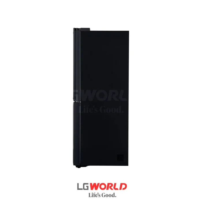 قیمت و خرید یخچال ساید بای ساید 20 فوت ال جی مدل LG X29 رنگ دودی مونتاژ چین